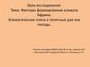 Факторы формирования климата Африки. Климатические пояса и типичные для них погоды