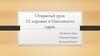 Открытый урок. 12 дорожек в Павловском парке