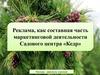 Реклама, как составная часть маркетинговой деятельности Садового центра «Кедр»