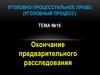 Окончание предварительного расследования. Тема 16