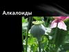 Алкалоиды