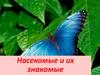 Насекомые и их знакомые