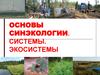 Основы синэкологии. Системы. Экосистемы