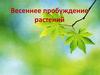 Весеннее пробуждение растений