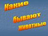 Какие бывают животные