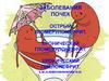 Заболевания почек. Острый гломерулонефрит