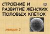 Строение и развитие женских половых клеток. Лекция 2