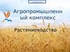 Агропромышленный комплекс. Растениеводство