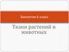 Ткани растений и животных. 6 класс