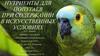 Нутриенты для попугаев, при содержании в искусственных условиях