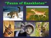 Fauna of Kazakhstan