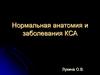 Нормальная анатомия и заболевания КСА