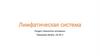 Лимфатическая система