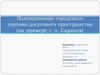Планирование городского торгово-досугового пространства г. Саранск