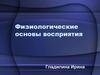 Физиологические основы восприятия
