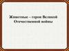 Животные – герои Великой Отечественной войны