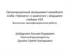 Квалификационная работа. Организационный менеджмент хоккейного клуба «Прогресс» в сравнении с ведущими клубами КХЛ