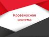 Кровеносная система