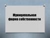 Муниципальная форма собственности