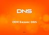 ОЕМ Бизнес DNS