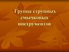 Группа струнных смычковых инструментов
