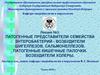 Патогенные представители семейства энтеробактерий - возбудители шигеллезов, сальмонеллезов. Патогенные кишечные палочки
