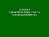 Характеристика отдела водорослей heterokontophyta. (Лекция 4)