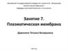Плазматическая мембрана. Занятие 7