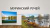 Муринский ручей