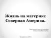 Жизнь на материке Северная Америка