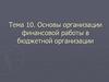 Основы организации финансовой работы в бюджетной организации