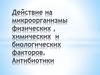 Действие на микроорганизмы физических , химических и биологических факторов. Антибиотики