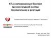 КТ ассистированная биопсия органов грудной клетки у животных
