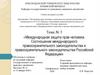 Международная защита прав человека. Соотношение международного законодательства и правоохранительного законодательства РФ