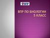 ВПР по биологии 5 класс
