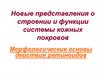 Новые представления о строении и функции системы кожных покровов. Морфологические основы действия ретиноидов