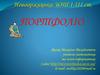 Новооржицька ЗОШ. Портфоліо учителя математики та інформатики