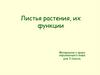 Листья растения, их функции
