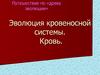 Эволюция кровеносной системы. Кровь