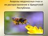 Акарозы медоносных пчел и их распрастронение в Удмуртской Республике