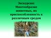Многообразие животных, их приспособленность к различным средам обитания