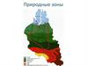 Природные зоны