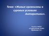 Живые организмы в суровых условиях Антарктики. Театрализованный урок-экспедиция и урок-дискуссия