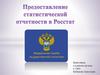 Предоставление статистической отчетности в Росстат