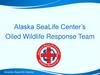 Alaska SeaLife Center’s Oiled Wildlife Response Team