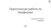 Практическая работа по биофизике