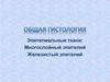 Общая гистология. Эпителиальные ткани