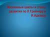 Жизненные циклы и этапы развития по Л. Грейнеру и И. Адизесу