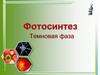 Фотосинтез. Световая фаза фотосинтеза