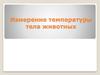 Измерение температуры тела животных